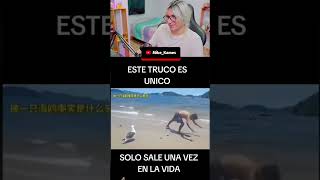 el pajarito se burla de parati edits raccion memes funny mexico paratii s shorts [upl. by Tewell]