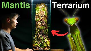 I Made A Tree Trunk Terrarium For a Praying Mantis Here’s How [upl. by Staal]