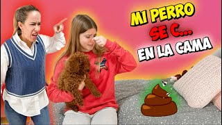 🤢 MI PERRO SE HACE CAC4 EN LA CAMA 💩 MI MADRE SE ENFADA MUCHÍSIMO BROMA MUY PESADA [upl. by Hevak139]