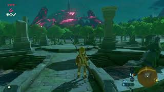 BotW  Phantom Set How to find [upl. by Anaer467]