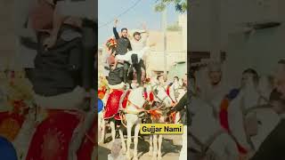 Gujjar Nami sher jati viral trending shorts  mg gujjar nami [upl. by Ruhtra]