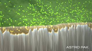 Astro Pak  Microscopic View of Electropolishing  Narrated [upl. by Eural157]