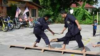 DEMO SILAT CHEKAK SILAT PAPAN SEKEPING PSCSPSM  PUCHONGOKT 2012 [upl. by Trik]