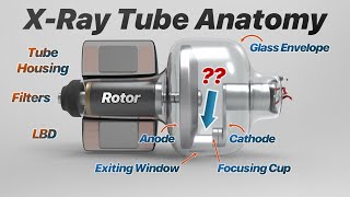 XRay Tube Anatomy XRay Production Explained [upl. by Dat]