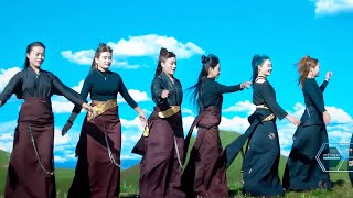 New Tibetan Circle Dance Song 2022 སྐོར་བྲོ་གསར་པ། Gangthuk Tenzin  Dekyi Dolma [upl. by Treble]