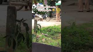 Xem bọn anh dắt xe này anh có làm gì đâu 😅 funny tintuc cute csgt tinhuonggiaothong cuoi [upl. by Pollitt]