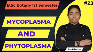 Mycoplasma amp Phytoplasma  Bsc Botany 1st semester  Swati Maam [upl. by Adamsun677]