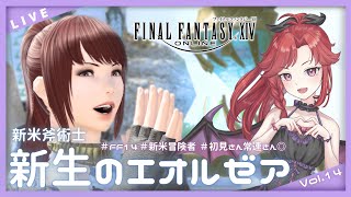 FINAL FANTASY XIV 【ff14 】vol14 メインクエスト進めます！ [upl. by Yentruok686]