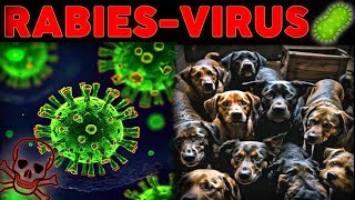 Rabies Virus That Turns Animals Into Zombies  Interesting Facts In Hindi [upl. by Petr]