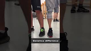 Ectomorph VS Mesomorph Genetics [upl. by Raven]