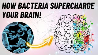 Probiotics for Brain HealthAnxiety and Depressionआंत के स्वास्थ्य से एंग्जायटी और डिप्रेशन का इलाज [upl. by Sylvie757]