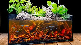 Blackwater Riparium for Blue Tetras in the IKEA Aquarium [upl. by Ahseneuq213]