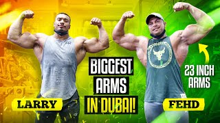 BIGGEST ARMS IN DUBAI [upl. by Noxas229]