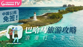 巴哈马旅游｜浪漫打卡地粉色沙滩与小猪同游与鲨鱼共舞亚特兰蒂斯度假酒店和赌场古老与现代并存的首府拿骚 [upl. by Arimaj]