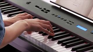 Alesis Cadenza Digital Piano [upl. by Yngad]