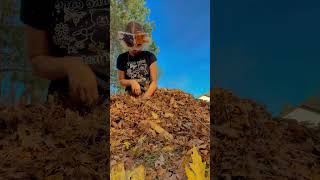 Leaf pile🍁🍁 lyrics love cover fairyqueen therian [upl. by Rand]