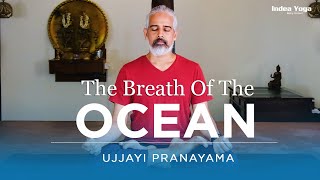 Learn Ujjayi Pranayama l Victorious Breath for Improving Lung Capacity  Bharath Shetty [upl. by Wanonah]