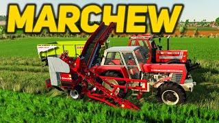 🔥Zbiór Marchwi Nowe Uprawy w Grze👨🏼‍🌾Rolnicy Z Miasta😍Farming Simulator 22🚜 [upl. by Melamed]