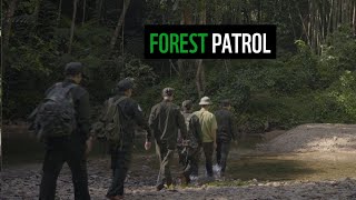 Forest patrol at Quang Nam Saola Nature Reserve [upl. by Asi]