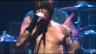 Red Hot Chili Peppers  Otherside  Live at Olympia Paris [upl. by Snebur]