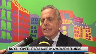 Variazione di bilancio larrivo lok del consiglio [upl. by Gilbye]