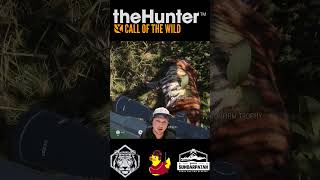 Legendary Bengal Tiger Trades Battle Scars  theHunter Call of the Wild cotw [upl. by Vidda458]