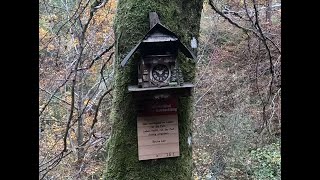 Genießerpfad Uhrwaldpfad Rohrhardsberg Schonach im Schwarzwald [upl. by Sanders730]