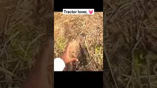 tractor lover can like this video 👍👍👍 farming farmer stunt explore [upl. by Lukasz]