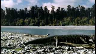 MASSIVE Prehistoric Crocodiles  Walking with Dinosaurs in HQ  BBC Earth [upl. by Reis39]