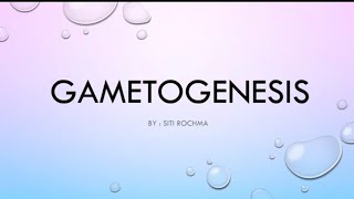 Gametogenesis gametogenesis sel biologi gamet materikelasxi [upl. by Ayekin]