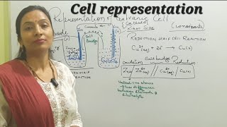 cell representation [upl. by Ifen660]