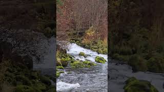 Feeder stream to the Klickitat River [upl. by Averi344]