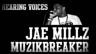 Jae Millz  Hearing Voices Pusha T Diss [upl. by Leodora]