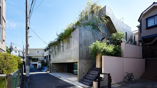 House T by Suppose Design Office is a quotcavelikequot concrete house in downtown Tokyo [upl. by Attiuqahs]