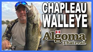 Chapleau River Walleye New season teaser [upl. by Muir]