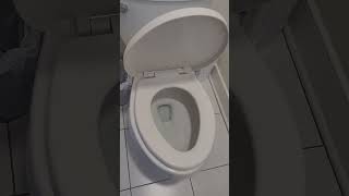 BEMIS Toilet Seat Soft Close [upl. by Aihsercal]