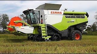 Claas Lexion 760 TerraTrac mietitura riso  rice harvest 21092014 [upl. by Pulchi]