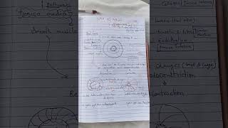 cellsignalling GPCRcell Signalling pathway [upl. by Beore]