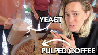 Coffee Processing Yeast Inoculated Washed Coffee Fermentation EXPLAINED w Lucia Solis [upl. by Anitsahs]