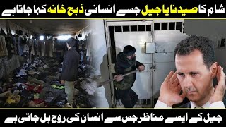 Inside Syria’s most notorious prison  Sednaya Prison  Urdu Cover [upl. by Lise]