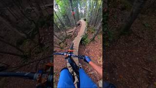 My New Favorite Trail mountainbike mtb [upl. by Kit]