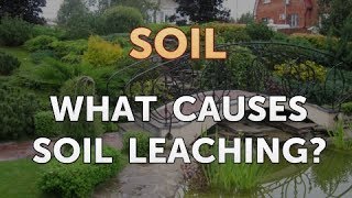 What Causes Soil Leaching [upl. by Norel]