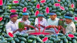 WATERMELON MILKSHAKE  Summer Healthy Drinks  Fresh Watermelon Juice Making in Village [upl. by Buckler]