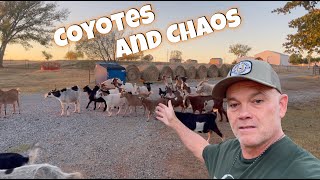 CHAOS at the Farm Vlog Style Video [upl. by Melany]