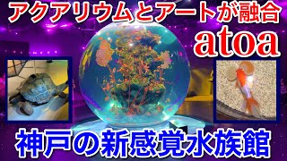 【神戸観光】神戸の新感覚水族館 atoaアトアに行ってみた○ [upl. by Llehsram]