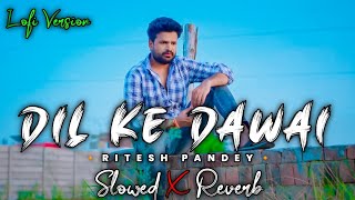 kahwa se le aai dil ke dawai slowed reverb  lofi  Ritesh Pandey  MahakalChaudhary [upl. by Ylrad]