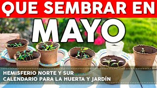 Calendario de Siembra 2022 Que sembrar en Mayo en el Huerto de Primavera y de Otoño [upl. by Elyse733]