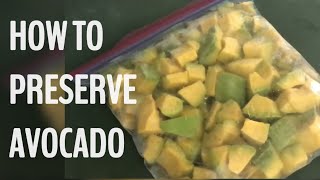 HOW TO PRESERVE AVOCADO [upl. by Boaten]