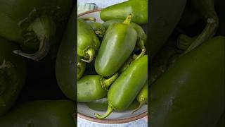 HOW TO Use Up all those Jalapenos [upl. by Byers]