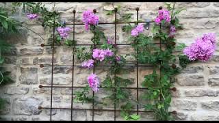 Garden Trellis by Harrod Horticultural [upl. by Crandell300]